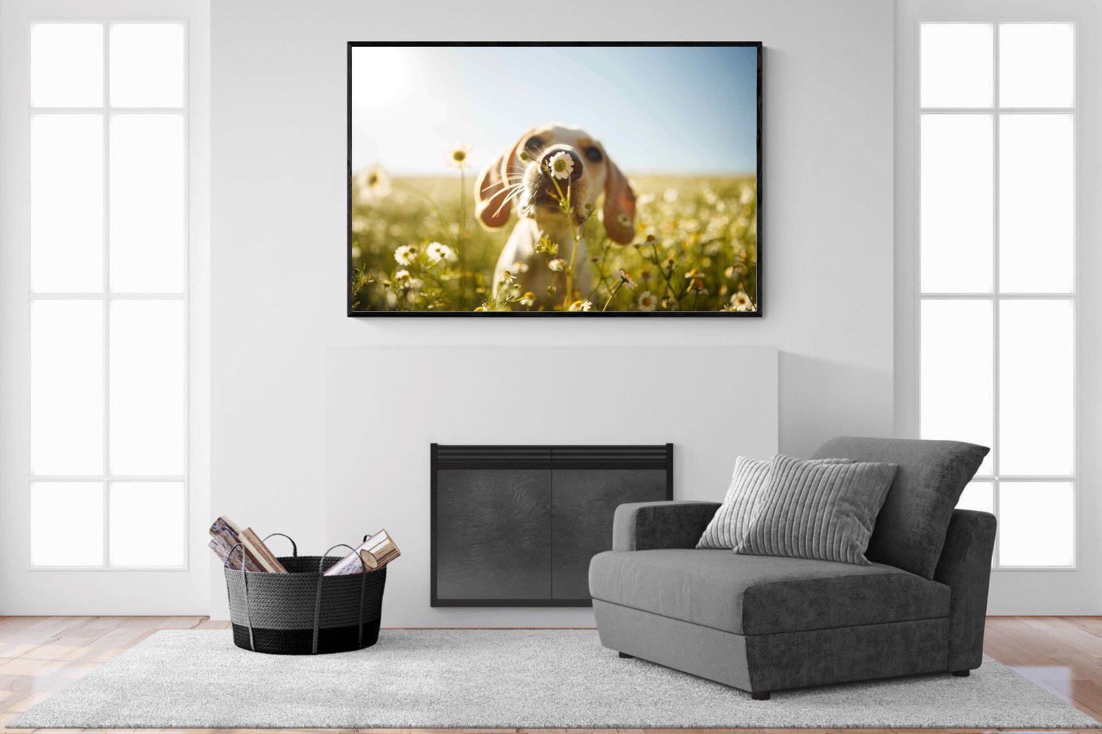 Sniff-Wall_Art-150 x 100cm-Mounted Canvas-Black-Pixalot