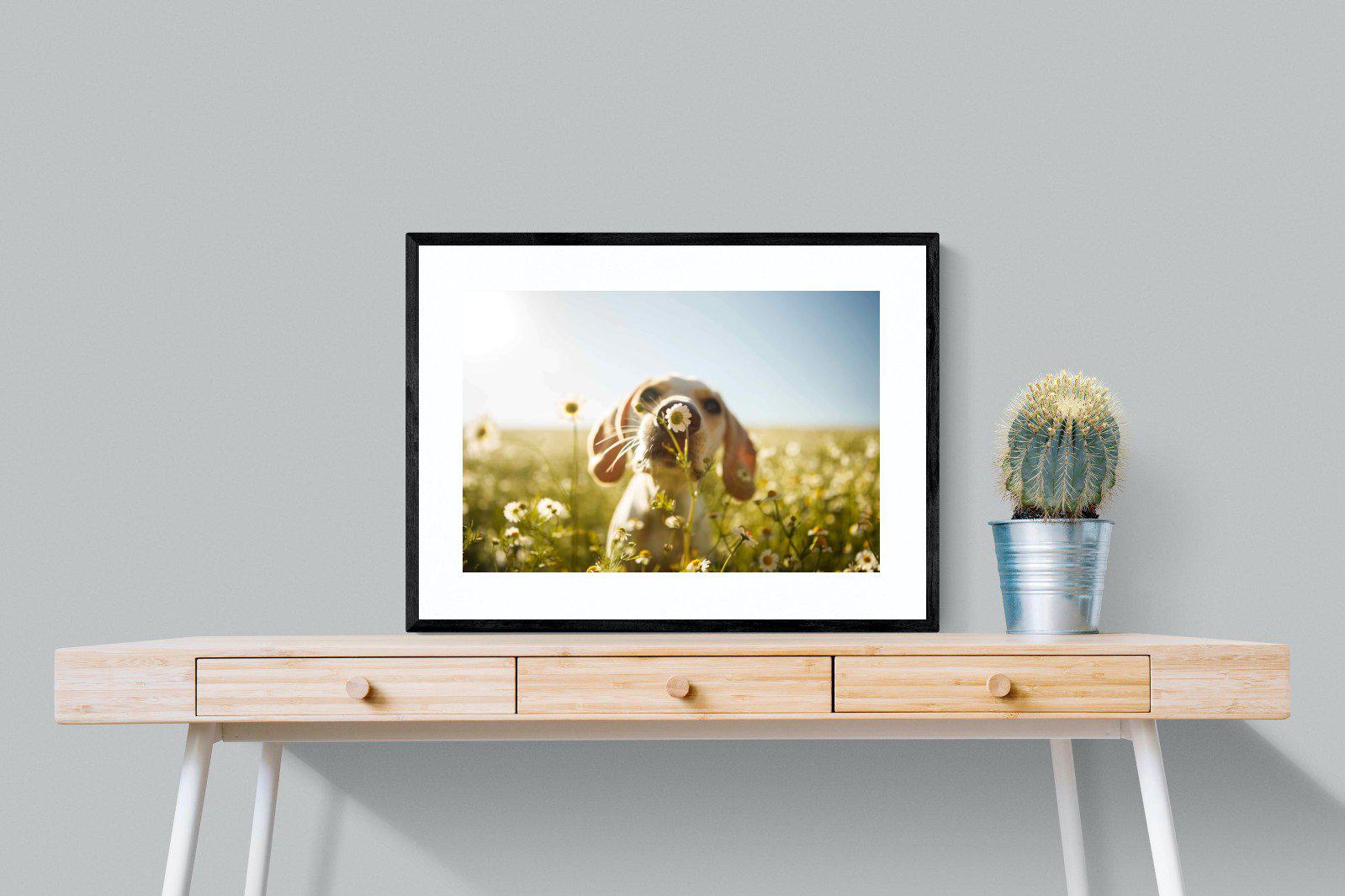 Sniff-Wall_Art-80 x 60cm-Framed Print-Black-Pixalot