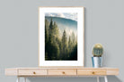 Spruce Forest-Wall_Art-75 x 100cm-Framed Print-Wood-Pixalot