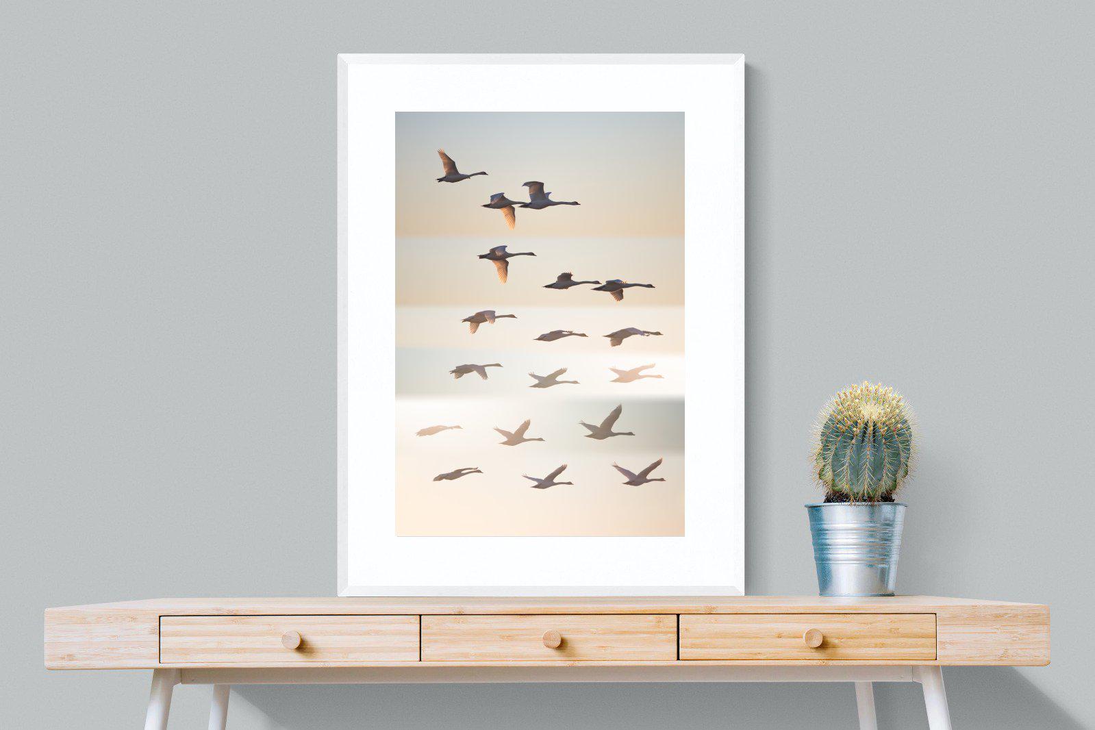 Squadron-Wall_Art-75 x 100cm-Framed Print-White-Pixalot