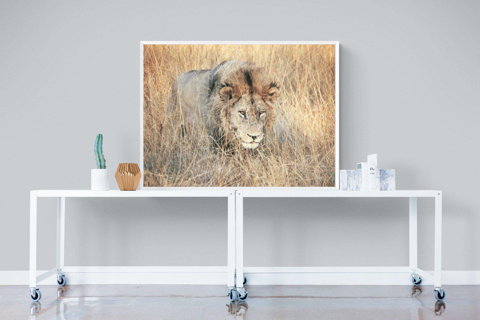 Stalking-Wall_Art-120 x 90cm-Mounted Canvas-White-Pixalot