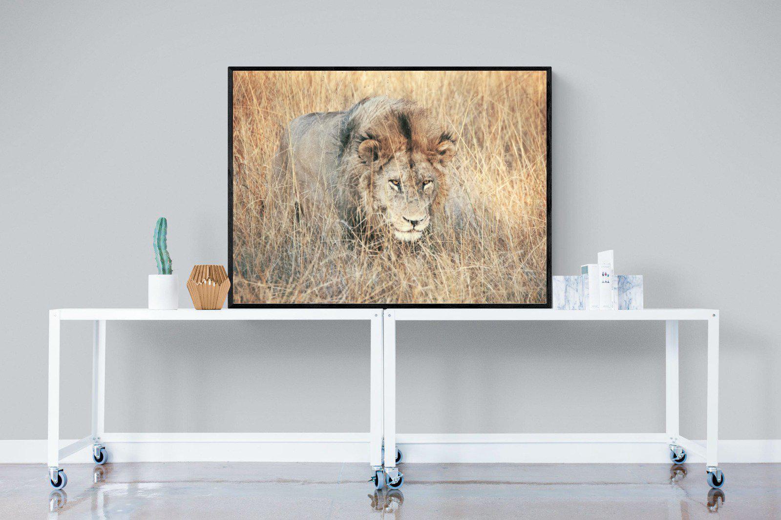 Stalking-Wall_Art-120 x 90cm-Mounted Canvas-Black-Pixalot