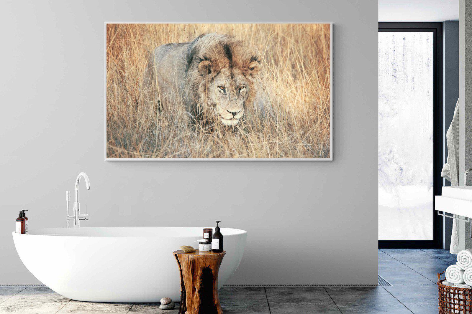 Stalking-Wall_Art-180 x 110cm-Mounted Canvas-White-Pixalot