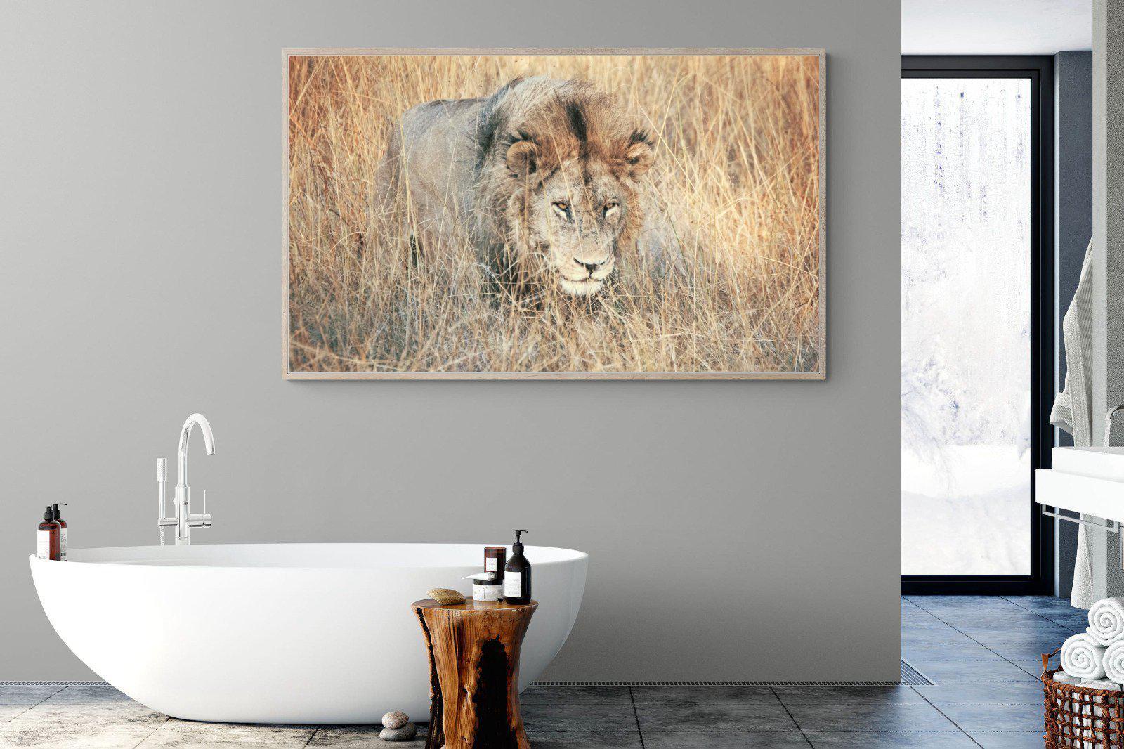 Stalking-Wall_Art-180 x 110cm-Mounted Canvas-Wood-Pixalot