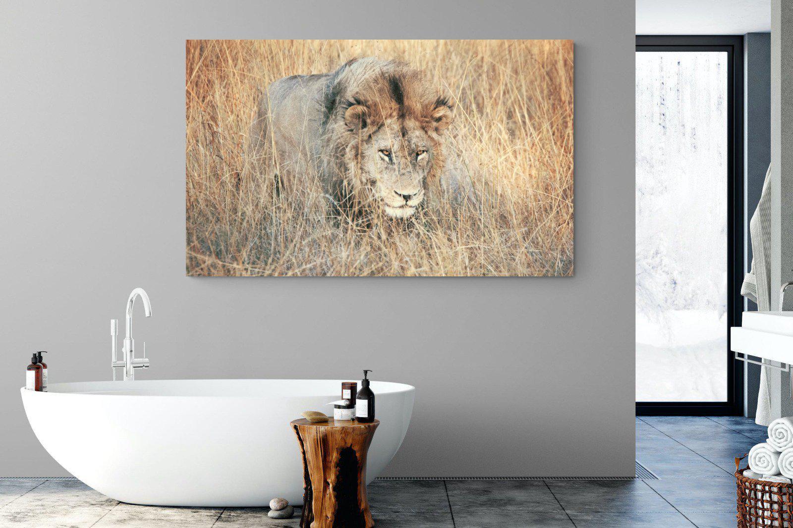 Stalking-Wall_Art-180 x 110cm-Mounted Canvas-No Frame-Pixalot