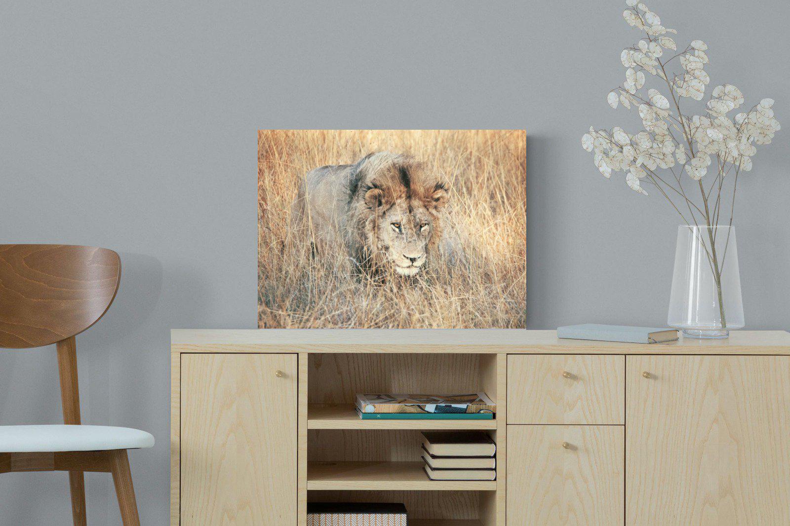 Stalking-Wall_Art-60 x 45cm-Mounted Canvas-No Frame-Pixalot