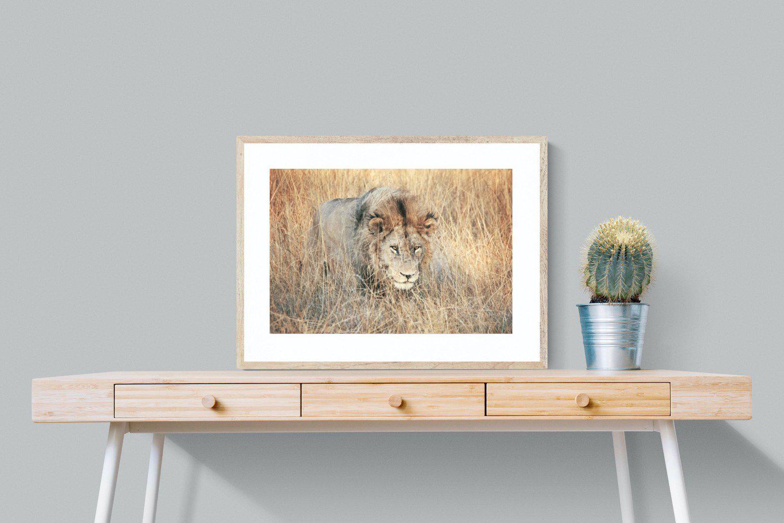 Stalking-Wall_Art-80 x 60cm-Framed Print-Wood-Pixalot