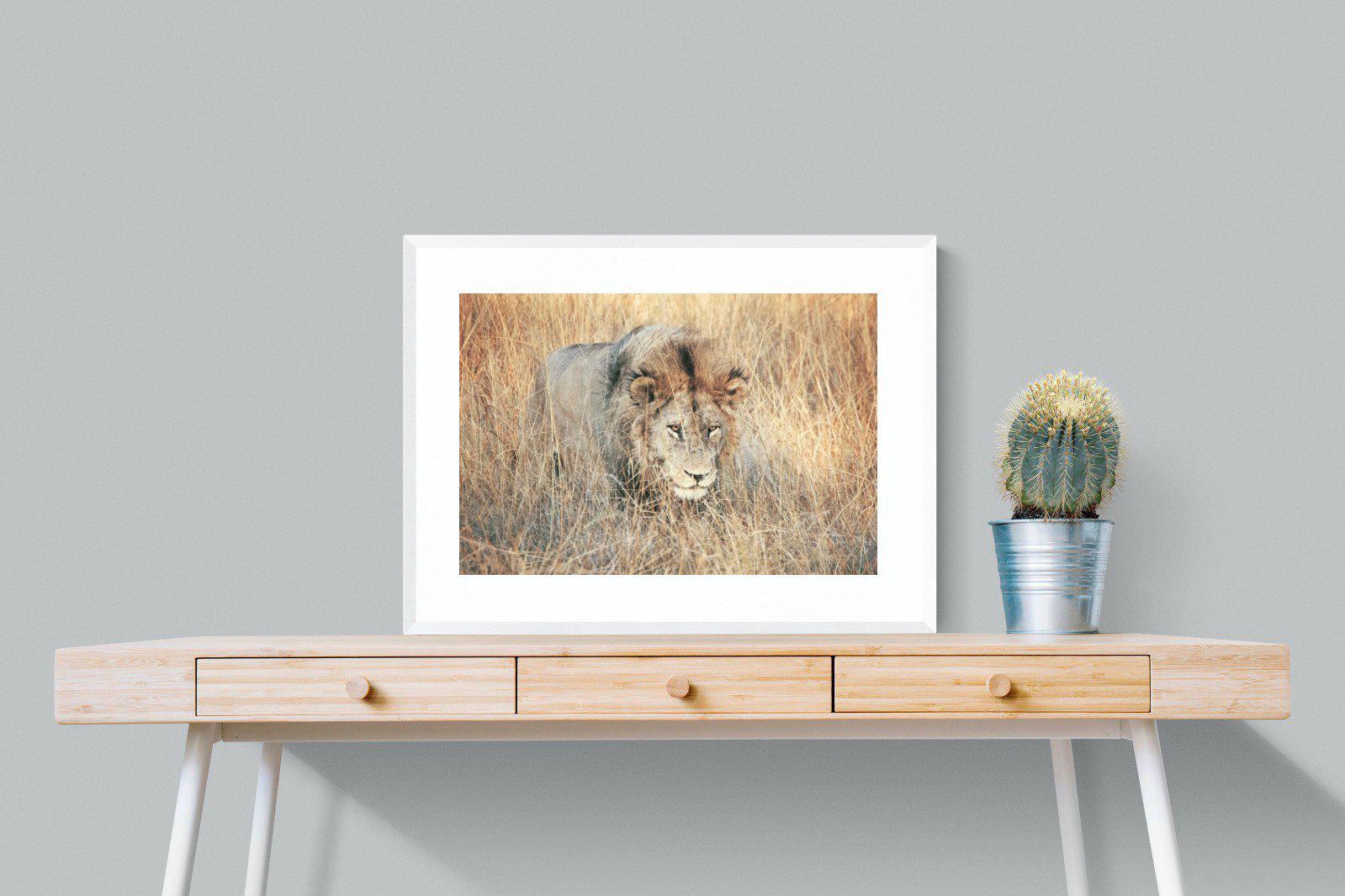 Stalking-Wall_Art-80 x 60cm-Framed Print-White-Pixalot