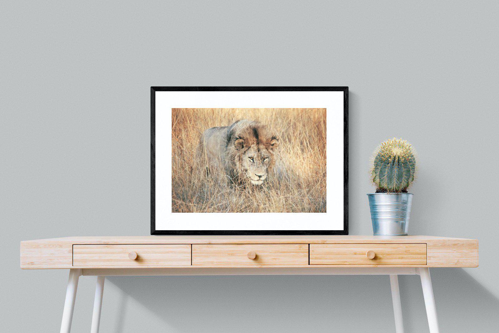 Stalking-Wall_Art-80 x 60cm-Framed Print-Black-Pixalot