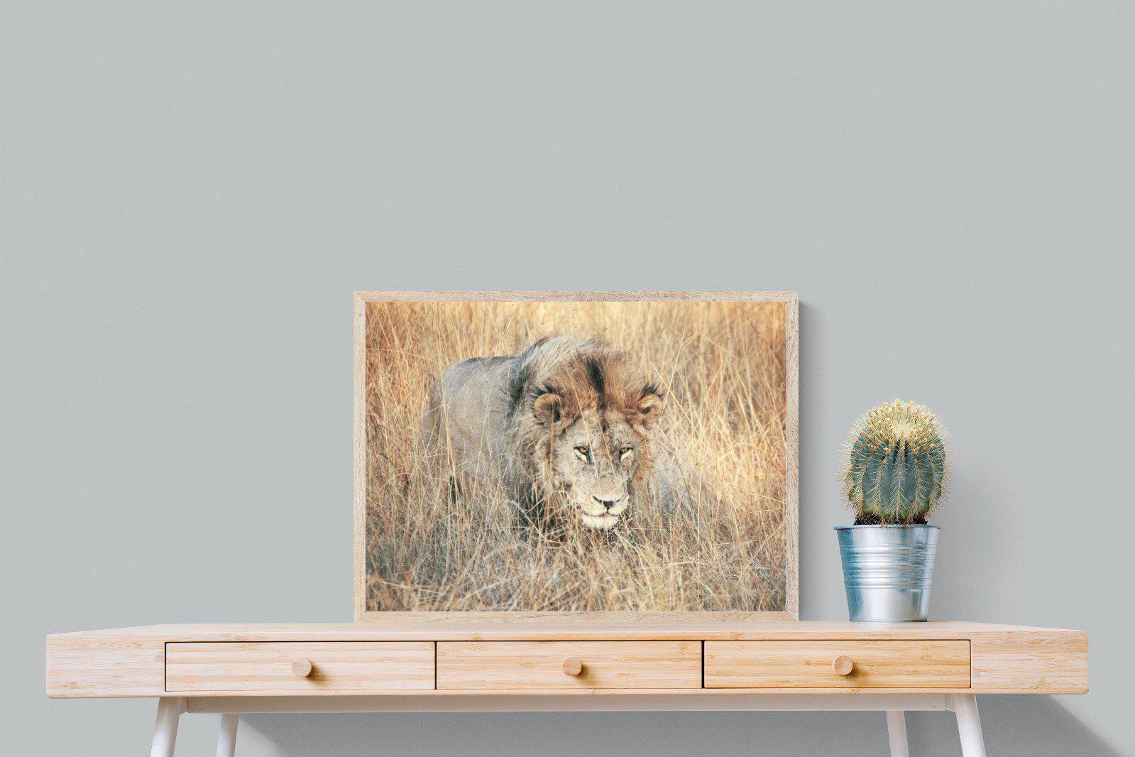 Stalking-Wall_Art-80 x 60cm-Mounted Canvas-Wood-Pixalot