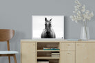 Stallion-Wall_Art-60 x 45cm-Mounted Canvas-White-Pixalot