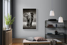 Stride-Wall_Art-100 x 150cm-Mounted Canvas-White-Pixalot
