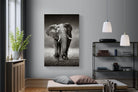 Stride-Wall_Art-120 x 180cm-Mounted Canvas-No Frame-Pixalot