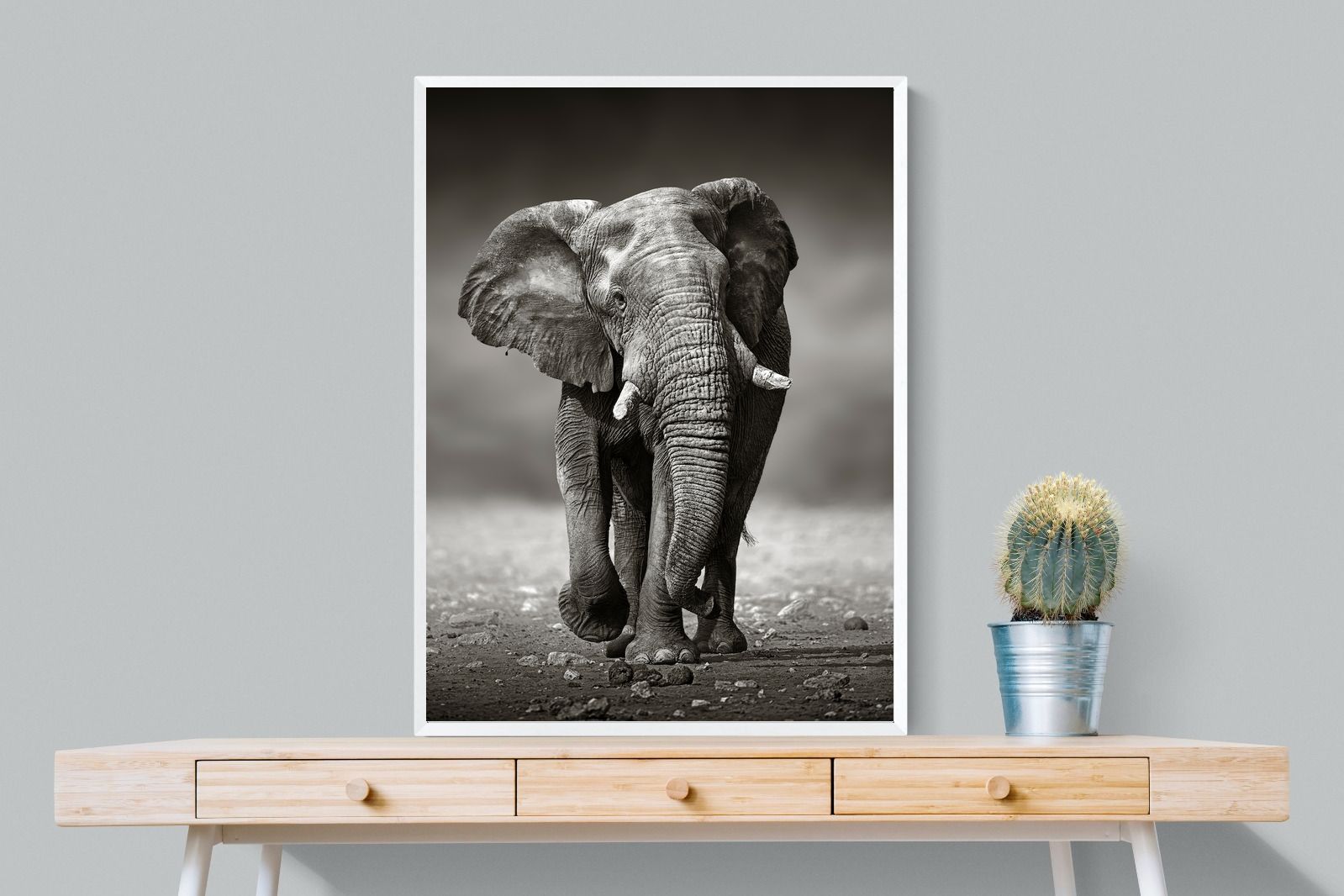 Stride-Wall_Art-75 x 100cm-Mounted Canvas-White-Pixalot