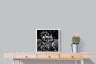 Sumo-Wall_Art-50 x 50cm-Mounted Canvas-White-Pixalot