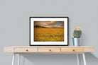 Sunflower Field-Wall_Art-80 x 60cm-Framed Print-Black-Pixalot