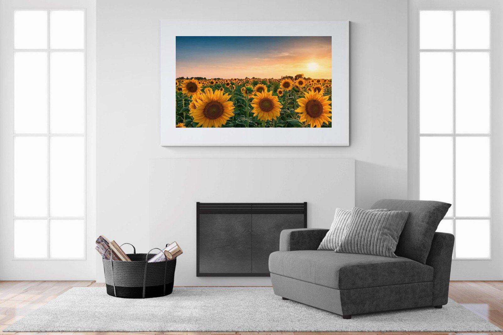 Sunflowers-Wall_Art-150 x 100cm-Framed Print-White-Pixalot