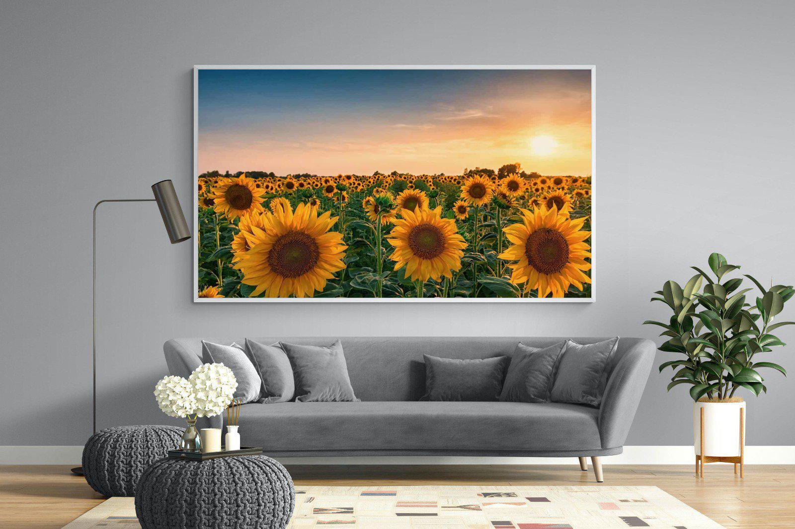 Sunflowers-Wall_Art-220 x 130cm-Mounted Canvas-White-Pixalot