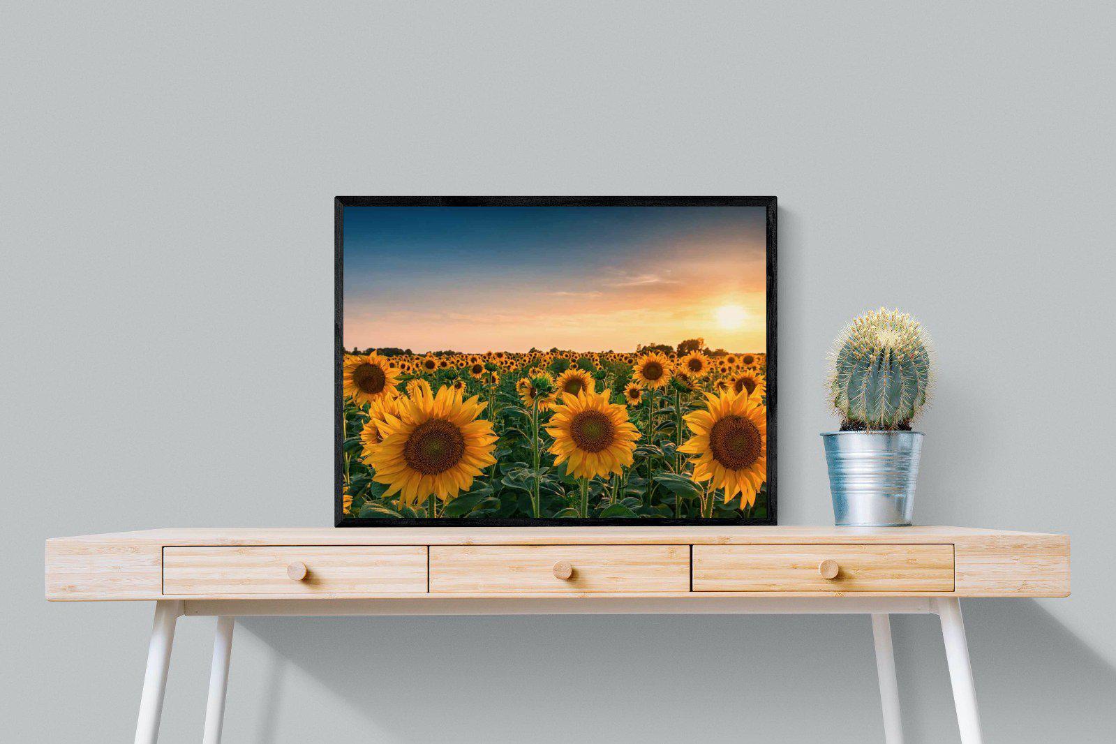 Sunflowers-Wall_Art-80 x 60cm-Mounted Canvas-Black-Pixalot