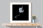 Take to the Air-Wall_Art-100 x 100cm-Framed Print-Wood-Pixalot