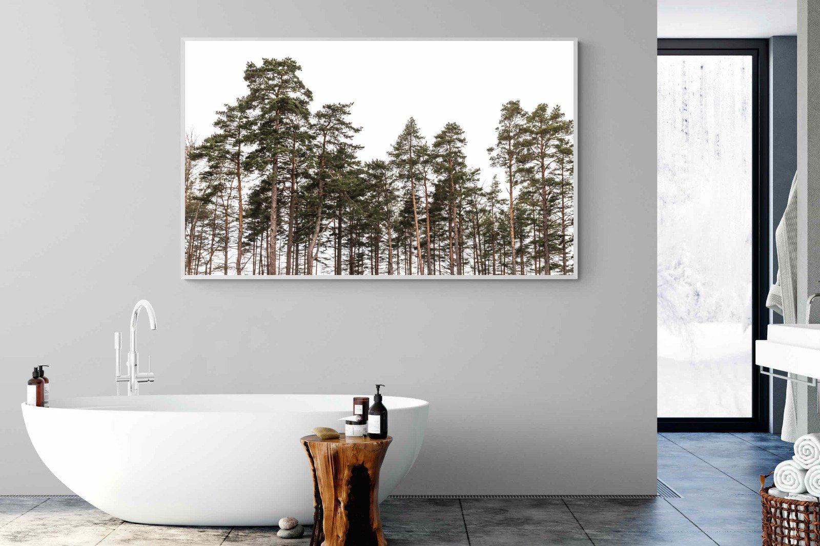 Tall Pines-Wall_Art-180 x 110cm-Mounted Canvas-White-Pixalot
