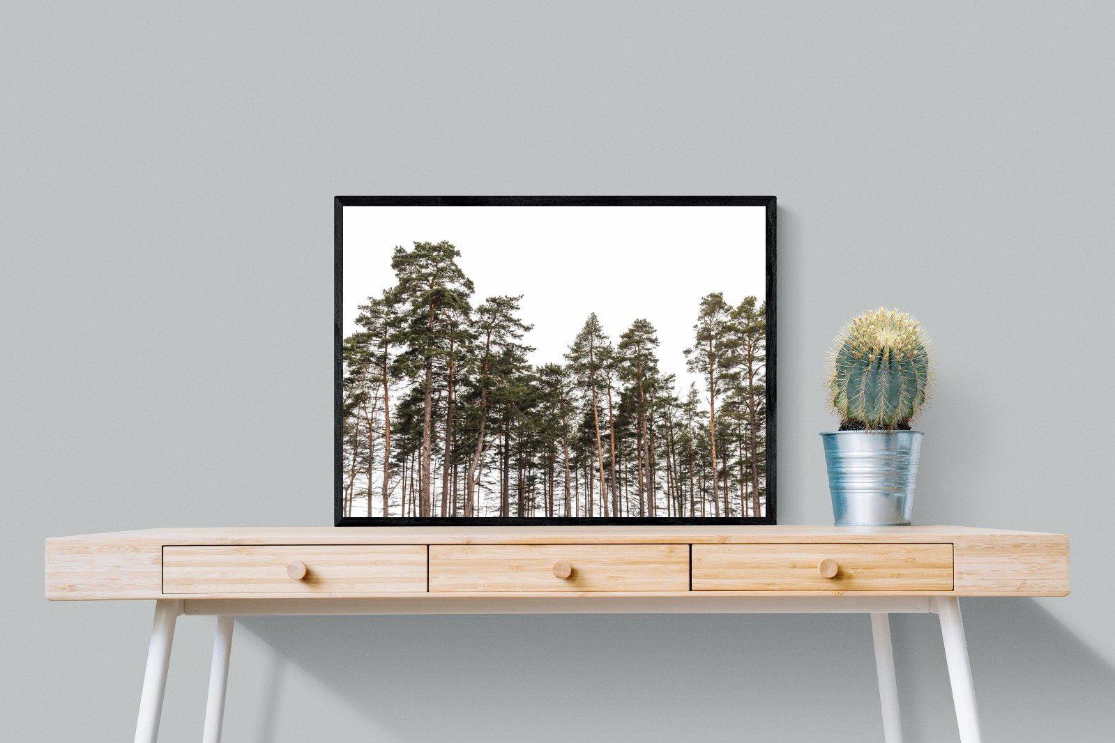 Tall Pines-Wall_Art-80 x 60cm-Mounted Canvas-Black-Pixalot