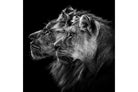 Together-Wall_Art-Pixalot