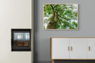 Tree Canopy-Wall_Art-100 x 75cm-Mounted Canvas-Wood-Pixalot