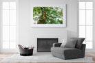 Tree Canopy-Wall_Art-150 x 100cm-Framed Print-White-Pixalot