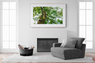 Tree Canopy-Wall_Art-150 x 100cm-Framed Print-Wood-Pixalot