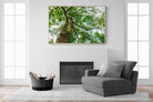 Tree Canopy-Wall_Art-150 x 100cm-Mounted Canvas-Wood-Pixalot