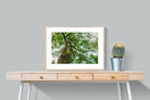 Tree Canopy-Wall_Art-80 x 60cm-Framed Print-Wood-Pixalot