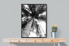 Tree Fan-Wall_Art-75 x 100cm-Mounted Canvas-Black-Pixalot