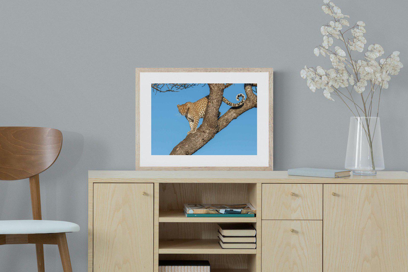 Tree Leopard-Wall_Art-60 x 45cm-Framed Print-Wood-Pixalot