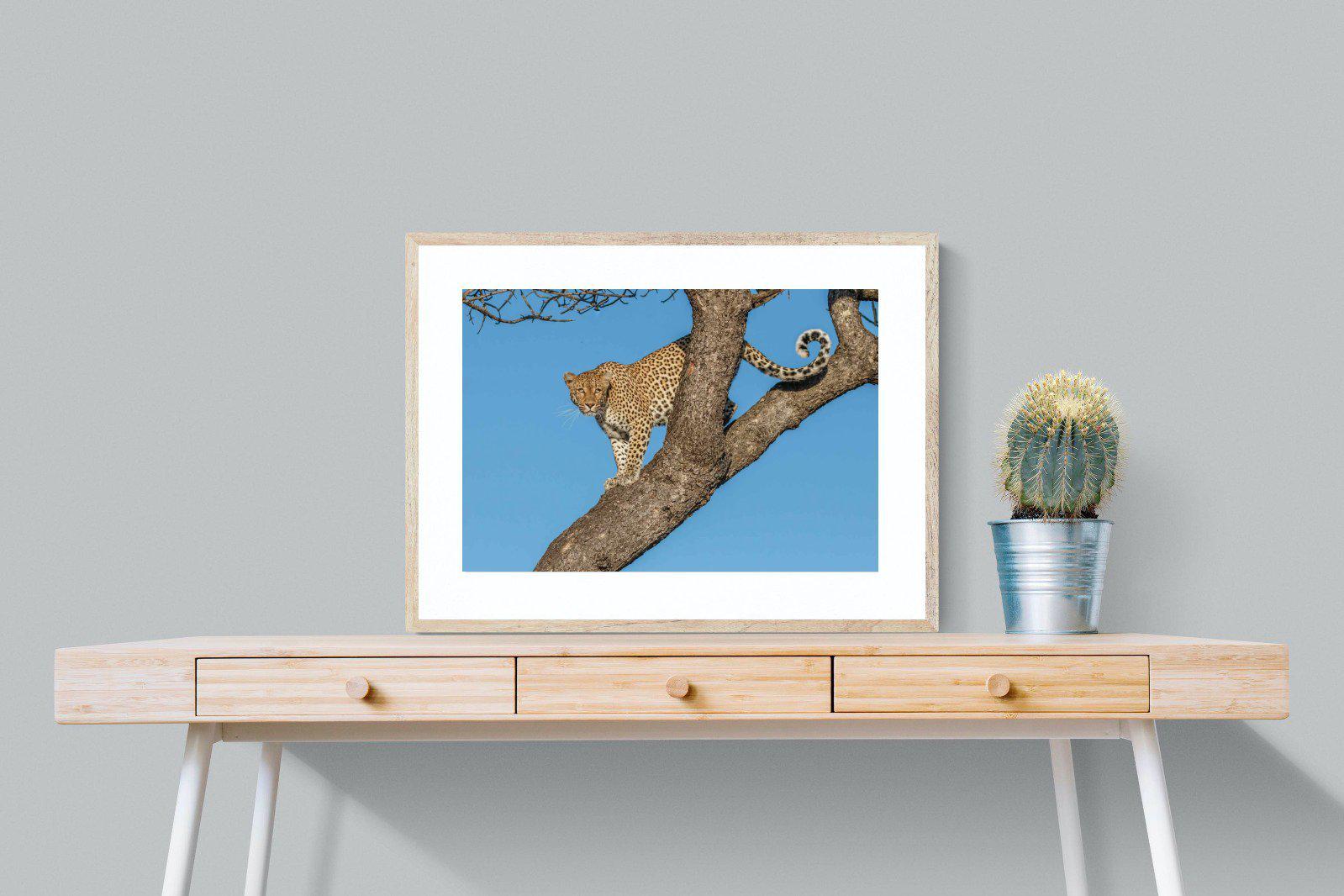 Tree Leopard-Wall_Art-80 x 60cm-Framed Print-Wood-Pixalot