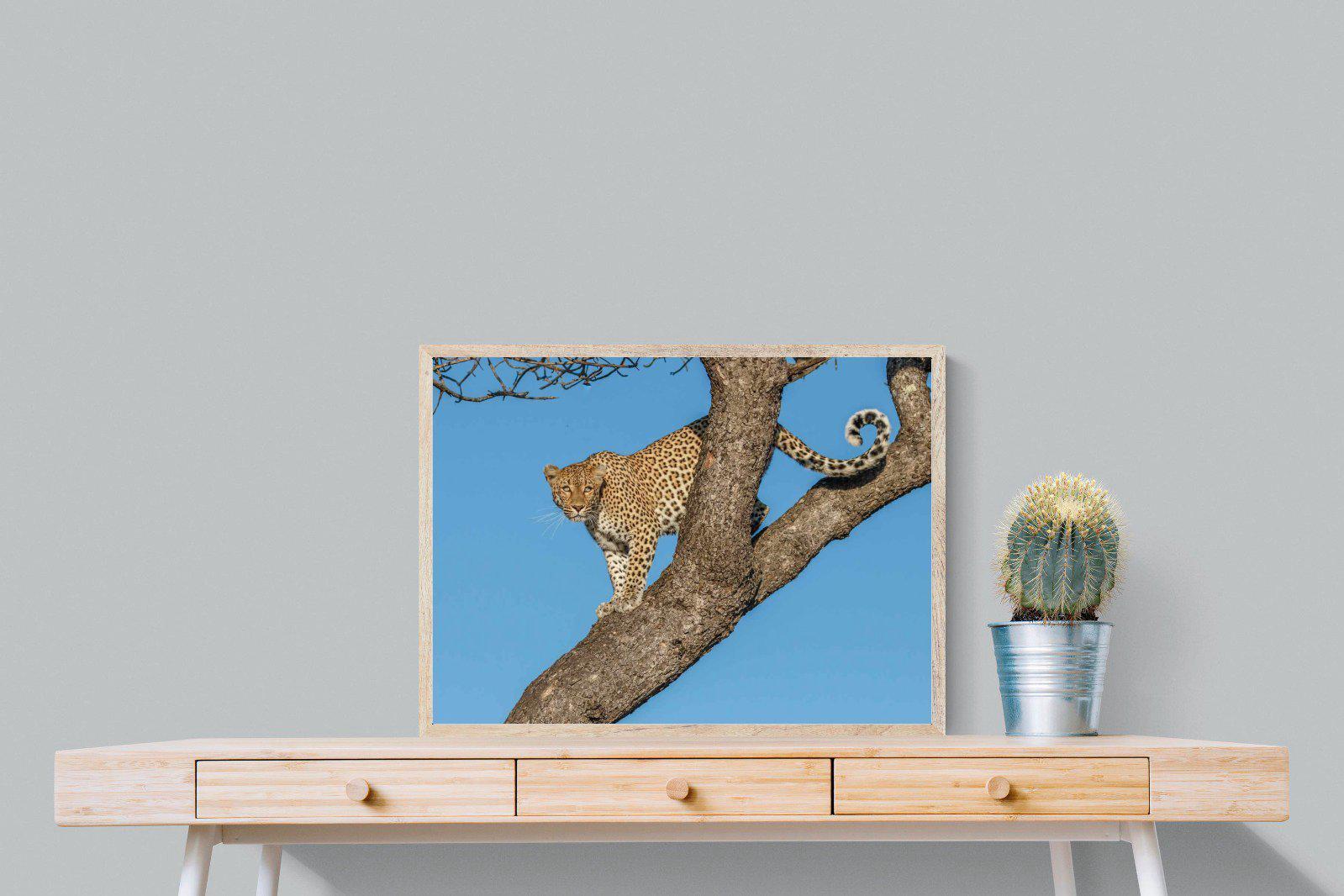 Tree Leopard-Wall_Art-80 x 60cm-Mounted Canvas-Wood-Pixalot