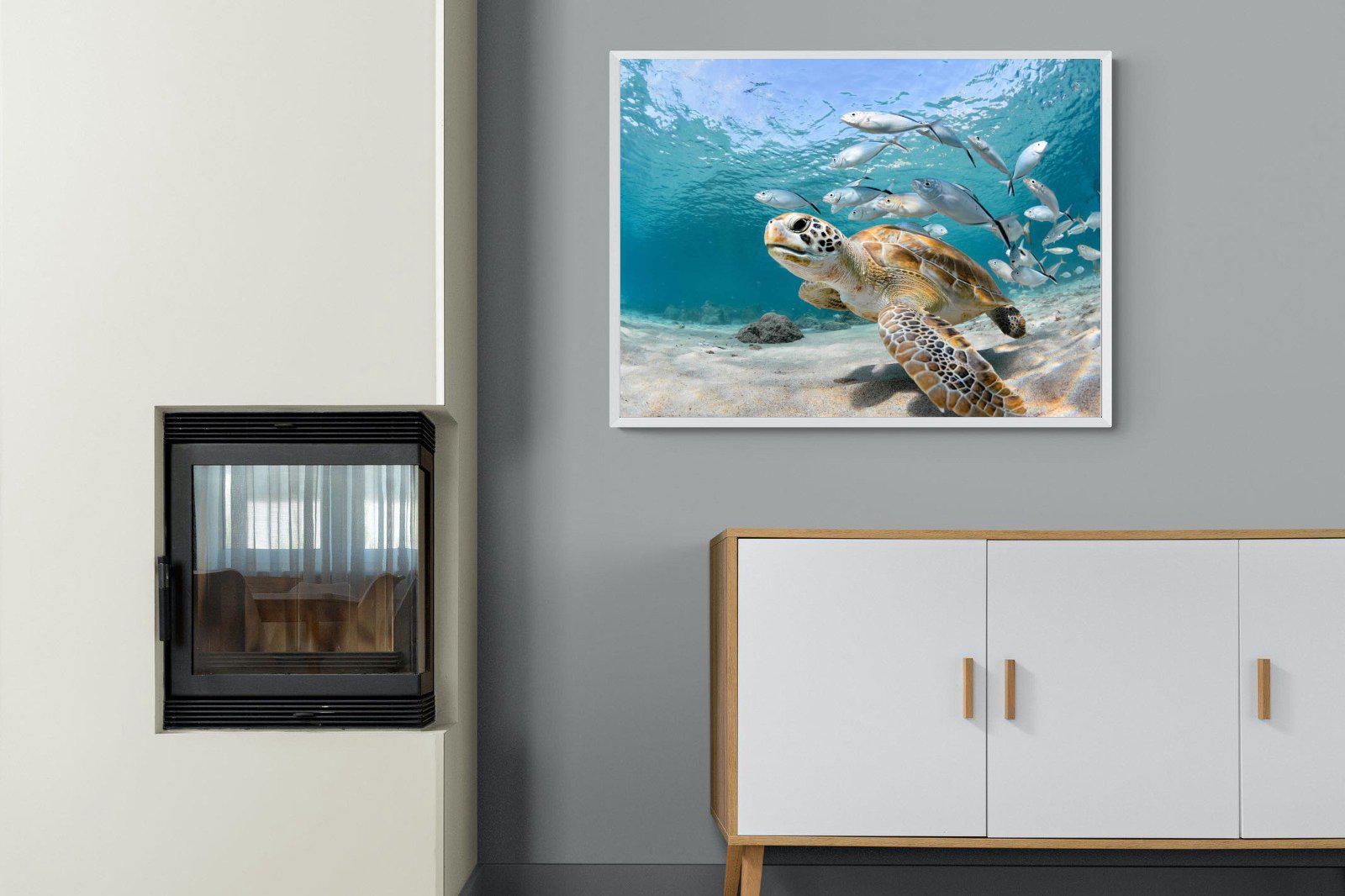 Turtle-Wall_Art-100 x 75cm-Mounted Canvas-White-Pixalot