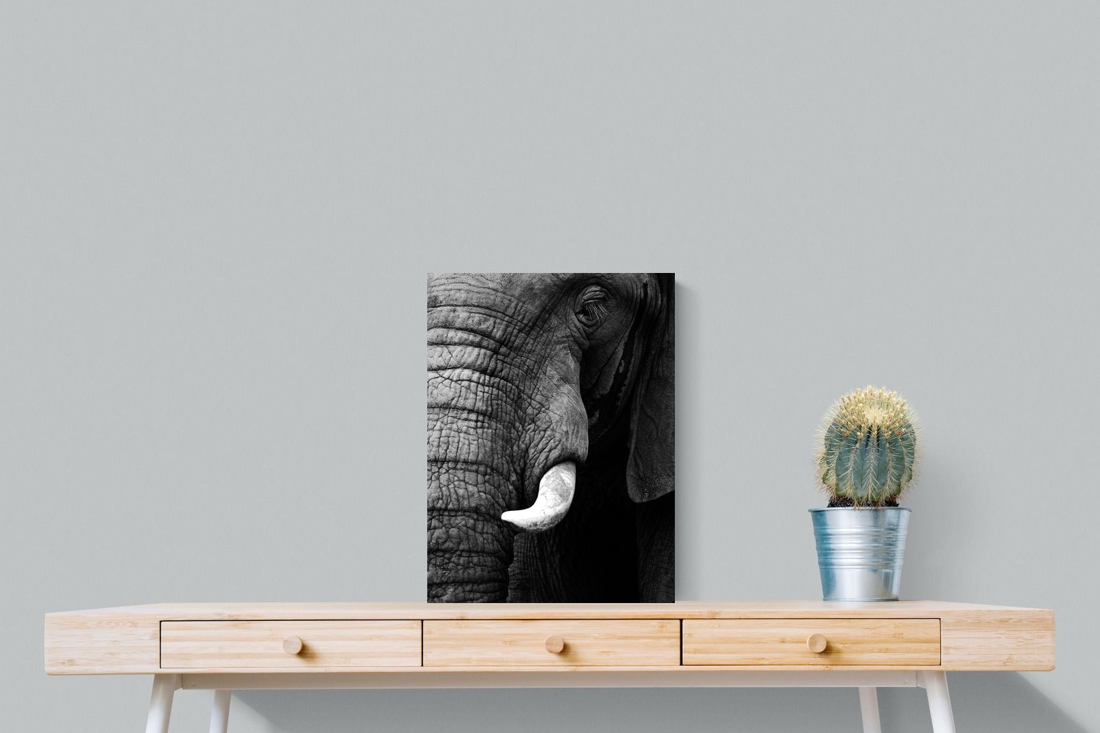 Tusker-Wall_Art-45 x 60cm-Mounted Canvas-No Frame-Pixalot