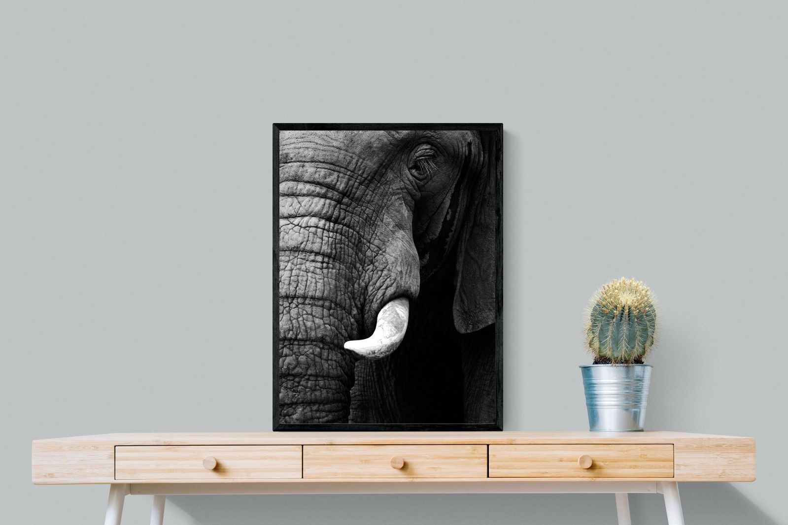 Tusker-Wall_Art-60 x 80cm-Mounted Canvas-Black-Pixalot