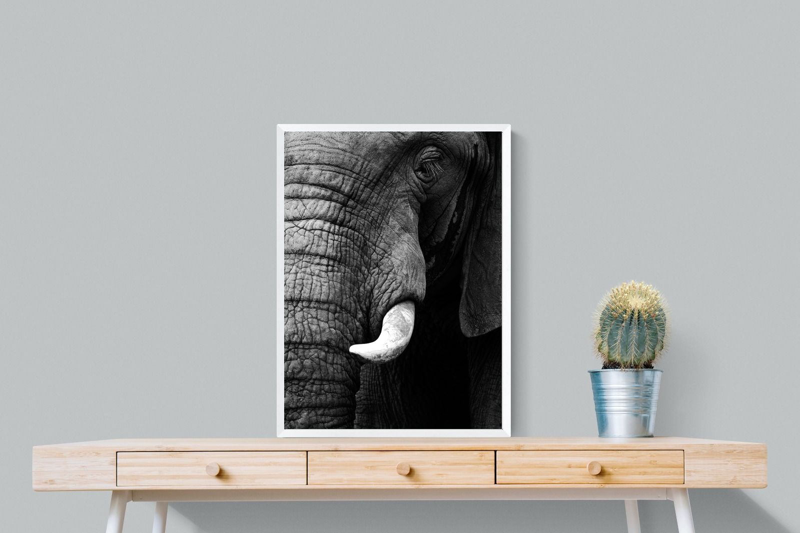 Tusker-Wall_Art-60 x 80cm-Mounted Canvas-White-Pixalot