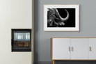 Water Buffalo-Wall_Art-100 x 75cm-Framed Print-Wood-Pixalot