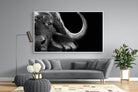 Water Buffalo-Wall_Art-220 x 130cm-Mounted Canvas-White-Pixalot