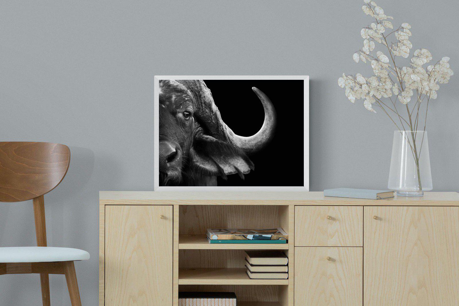 Water Buffalo-Wall_Art-60 x 45cm-Mounted Canvas-White-Pixalot