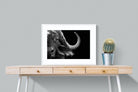 Water Buffalo-Wall_Art-80 x 60cm-Framed Print-White-Pixalot