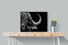 Water Buffalo-Wall_Art-80 x 60cm-Mounted Canvas-Black-Pixalot