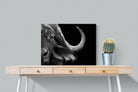 Water Buffalo-Wall_Art-80 x 60cm-Mounted Canvas-No Frame-Pixalot