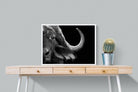 Water Buffalo-Wall_Art-80 x 60cm-Mounted Canvas-White-Pixalot