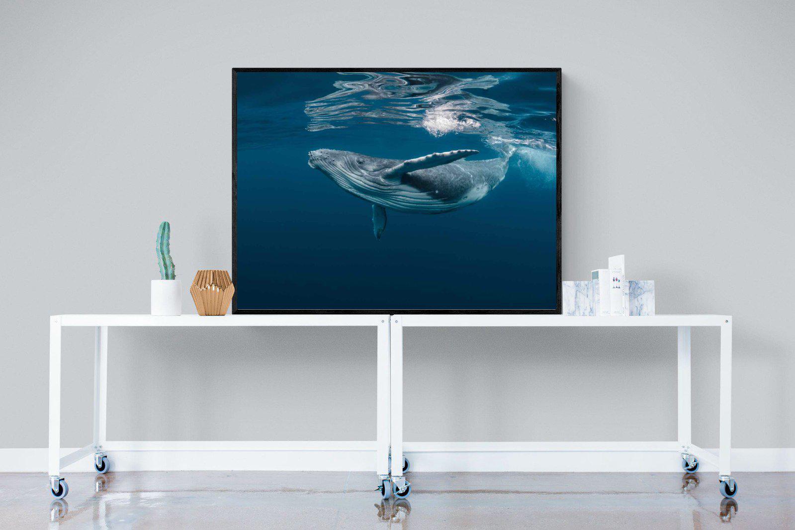 Whale-Wall_Art-120 x 90cm-Mounted Canvas-Black-Pixalot