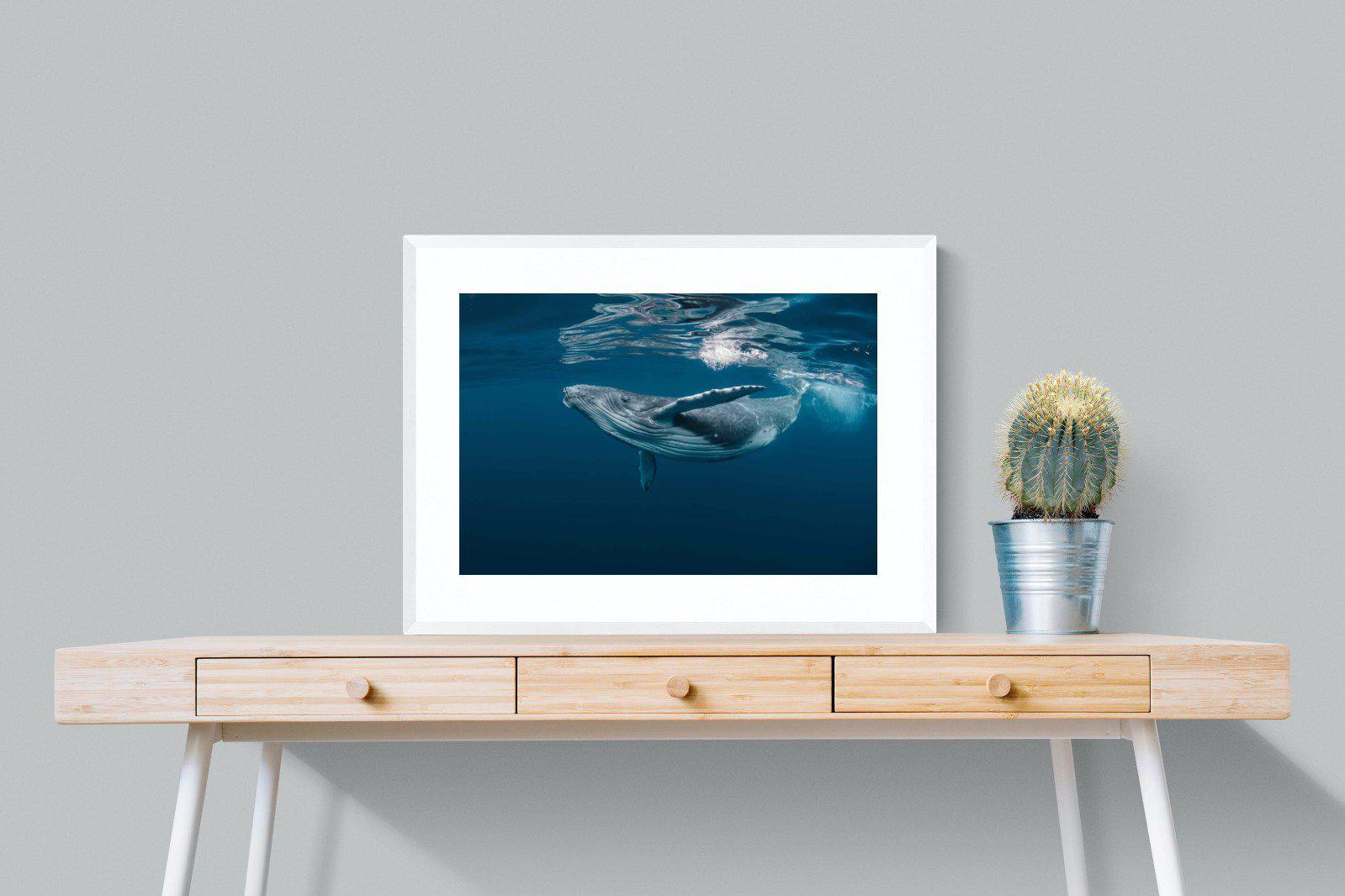 Whale-Wall_Art-80 x 60cm-Framed Print-White-Pixalot