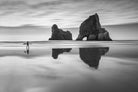 Wharariki-Wall_Art-Pixalot